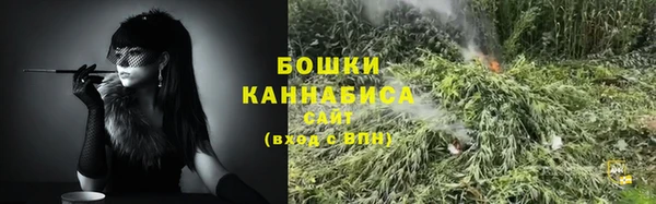 шишки Краснотурьинск