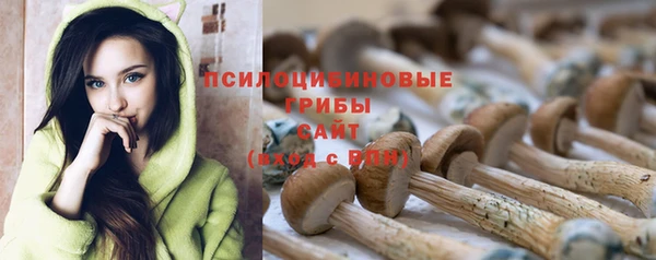 шишки Краснотурьинск